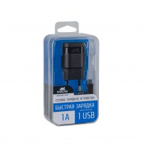 VA4111 BD1 RU wall charger (1 USB / 1 A)